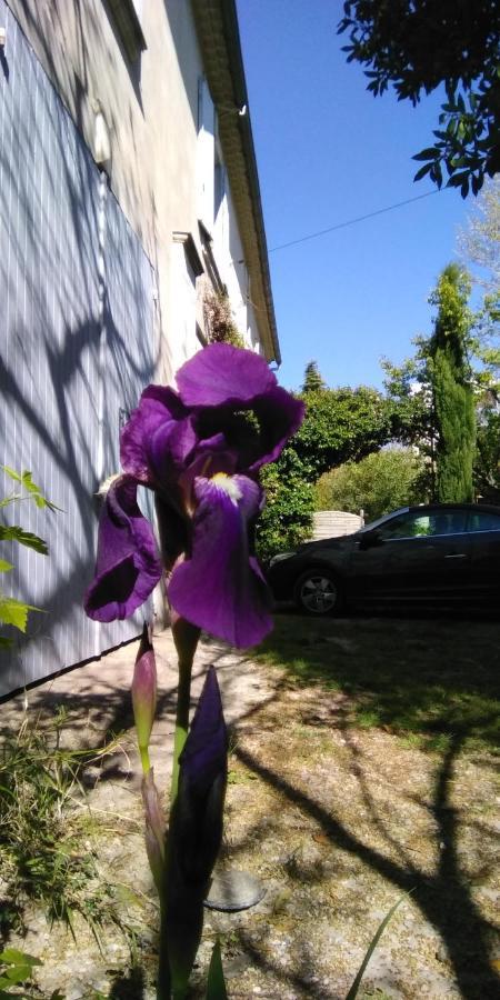 Le Mas Des Dames Appartement Avignone Esterno foto